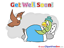 Bird Parrot free Cliparts Get Well Soon