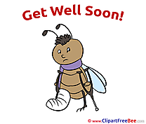 Bug Crutches Gypsum Get Well Soon Clip Art for free