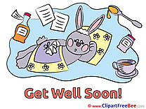 Bunny Pics Get Well Soon  free Image