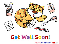 Cat Medicine Clip Art download Get Well Soon