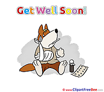 Dog Medicine Pills free Illustration Get Well Soon