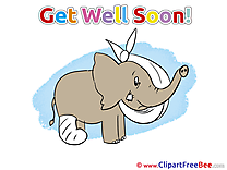 Elephant Gypsum printable Get Well Soon Images