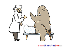 Rhino Gypsum Doctor Pics Get Well Soon Illustration