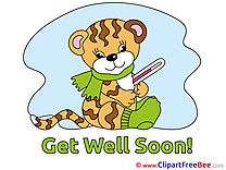 Tiger free Illustration Get Well Soon