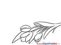 Bouquet Goodbye Illustrations for free