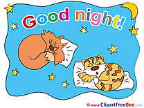 Animals Cats Stars Moon Good Night Clip Art for free