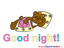 Blanket Pillow Bear download Good Night Illustrations