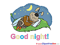 Bug Pillow Good Night download Illustration