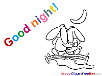 Bunnies Moon Bench Good Night Illustrations for free