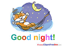 Cat Good Night free Images download