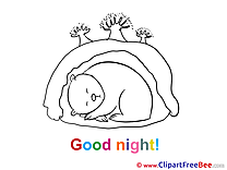 Den Bear free Illustration Good Night