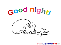 Dog download Good Night Illustrations