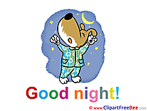 Dog Pajamas Pics Good Night  free Image