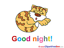 Drawing Cat printable Good Night Images