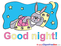 Hare Moon Stars free Illustration Good Night
