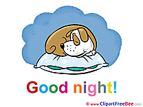 Sleeping Dog Good Night download Illustration