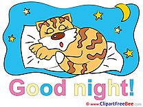 Tiger Bed Pillow Moon Pics Good Night free Cliparts