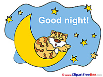 Tiger Moon Stars Clip Art download Good Night