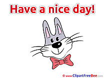 Hare Tie-bow Pics Have a Nice Day free Cliparts