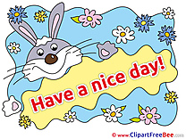 Rabbit Flowers printable Illustrations Have a Nice Day