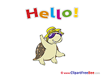 Turtle free Cliparts Hello