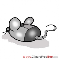 Mouse Computer Clipart free Image download