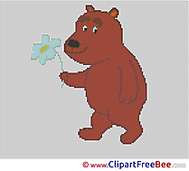 Bear free Cross Stitches download