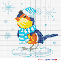 Bullfinch download Cross Stitch for free