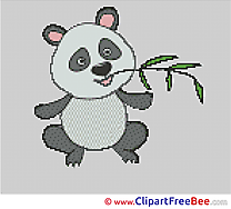 Koala Cross Stitches free