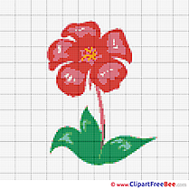 Cross Stitches Flower download for free