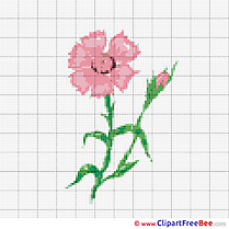 Daisy free Cross Stitch download