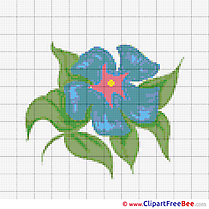 Design Flower Cross Stitches free