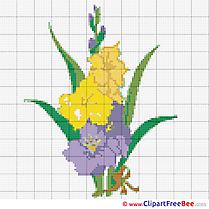 Gladiolus download Cross Stitch free