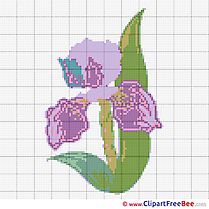 Printable Picture Flower Cross Stitches download