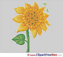 Sunflower Cross Stitches free