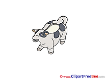 Cow printable Images for download