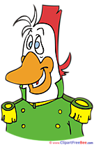 Duck Pics free download Image