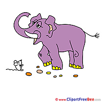 Elephant Pics download Illustration