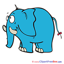 Elephant Pics printable Cliparts