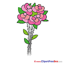 Roses Flowers Pics download Illustration