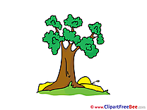 Tree Nature Pics free Illustration