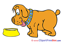 Bowl Dog Illustrations for free