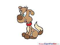 Brown Dog Pics Illustration