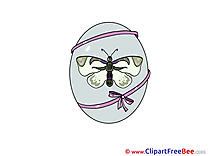 Butterfly Egg Pics Easter free Image