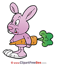 Carrot Rabbit download Easter Illustrations