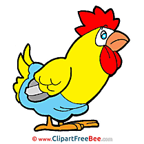 Cock download Clipart Easter Cliparts