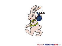 Hare Cliparts Easter for free