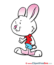 Little Bunny Pics Easter free Cliparts