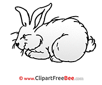 White Rabbit Clipart Easter Illustrations