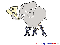 Elephant Finance Illustrations for free